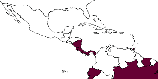 map of Anisepyris ciryoni     Barbosa & Azevedo, 2018